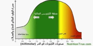 مقياس الكيتونات في الدم، كيتو دايت