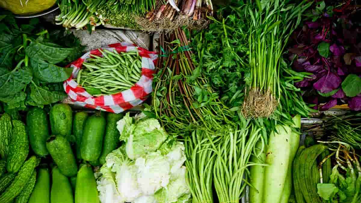 الخضروات المسموحة والممنوعة في الكيتو دايت | تغذية صح
