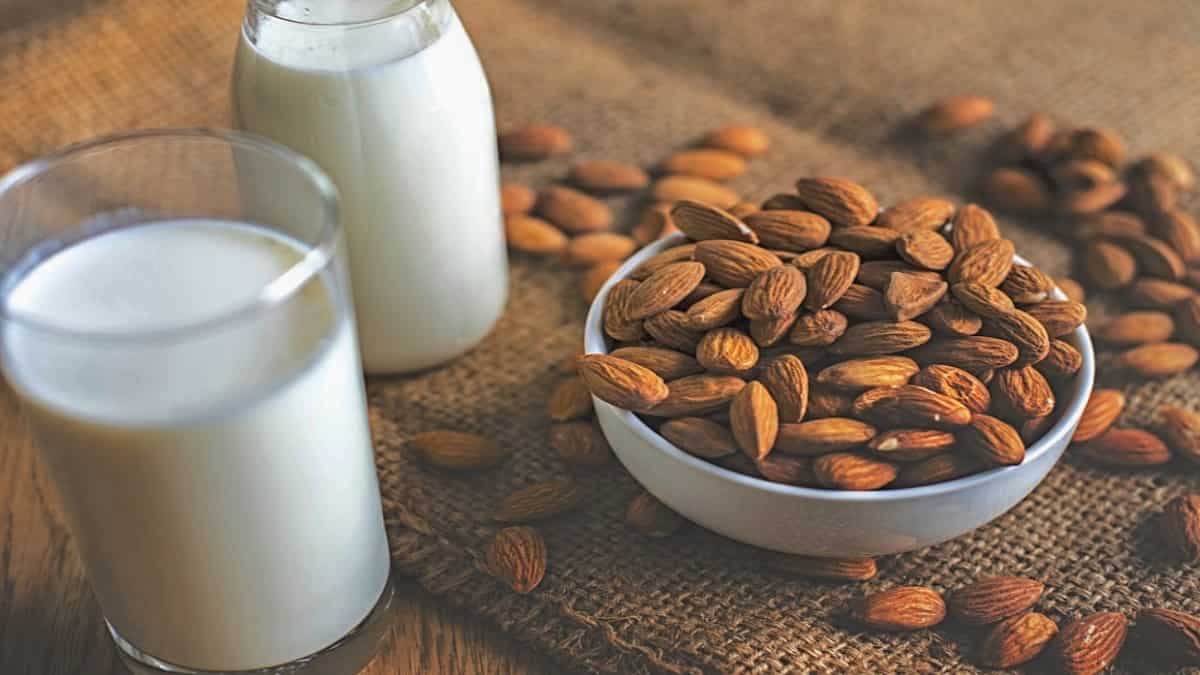 هل يجوز شرب الحليب العادي في الكيتو دايت وهل يوجد بديل وما هو مسموح أو ممنوع في رجيم الكيتو