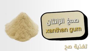 صمغ الزانثان xanthan gum